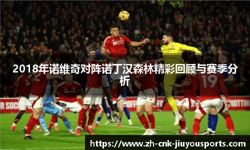 2018年诺维奇对阵诺丁汉森林精彩回顾与赛季分析