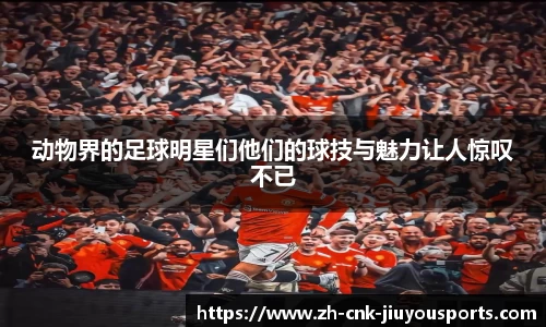 动物界的足球明星们他们的球技与魅力让人惊叹不已